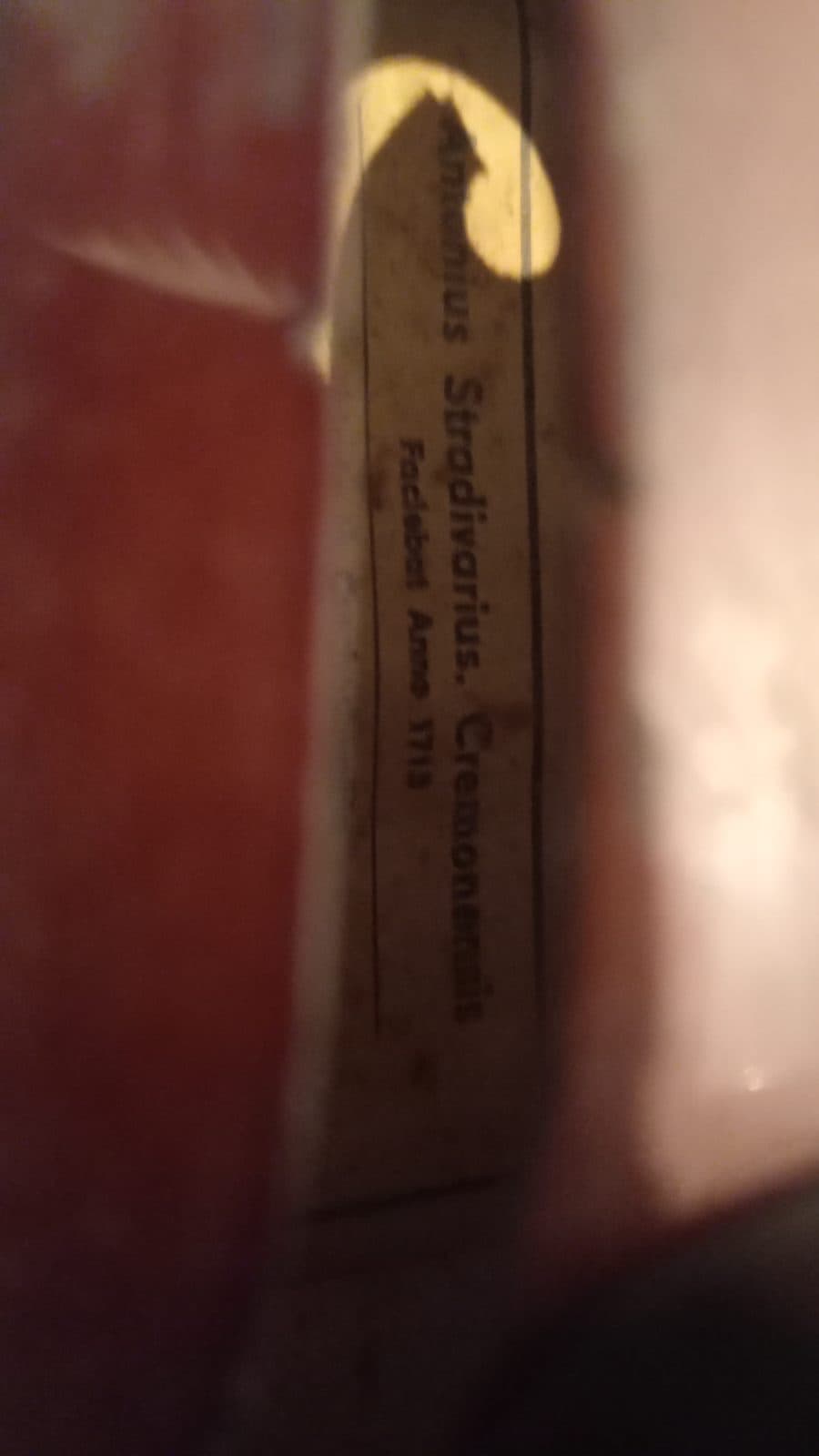 Skripka 4/4 şəkil 5