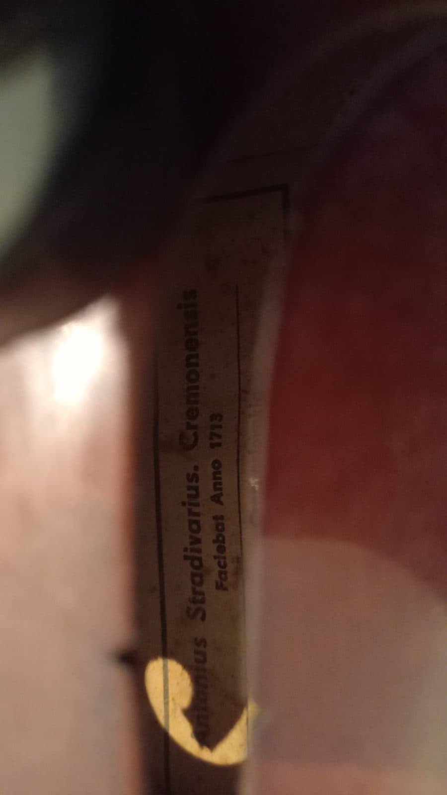 Skripka 4/4 əlavə şəkil 11